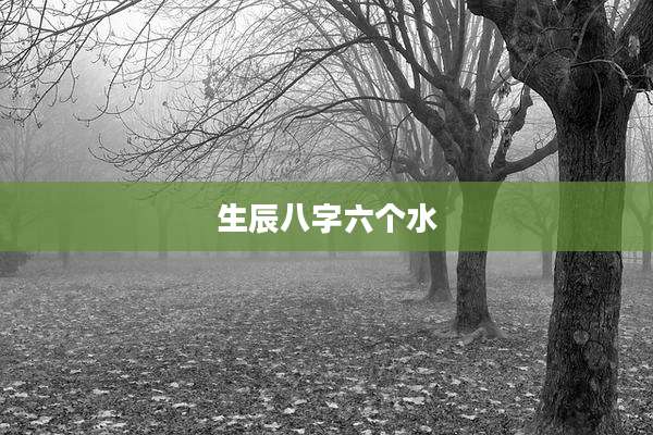 生辰八字六个水