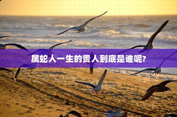 属蛇人一生的贵人到底是谁呢?