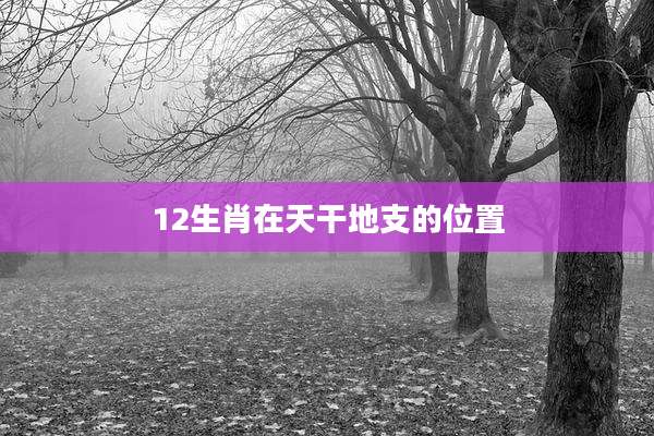 12生肖在天干地支的位置
