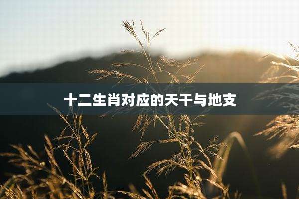 十二生肖对应的天干与地支