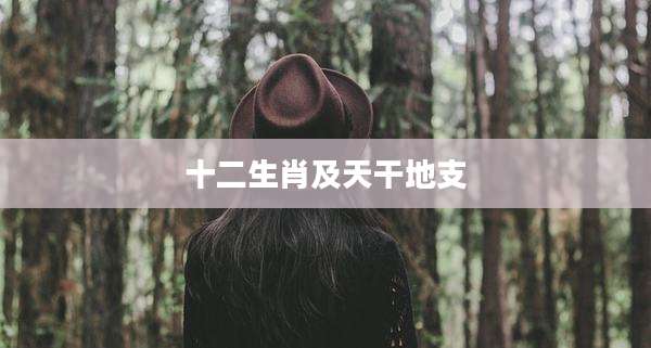 十二生肖及天干地支