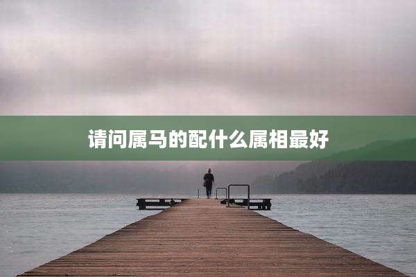 请问属马的配什么属相最好