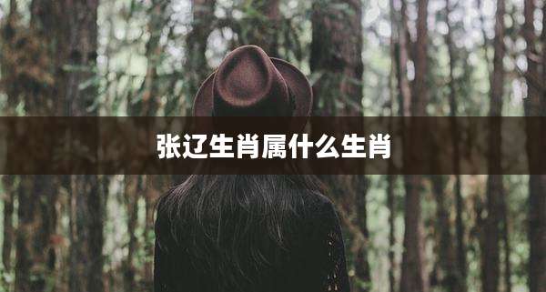 张辽生肖属什么生肖