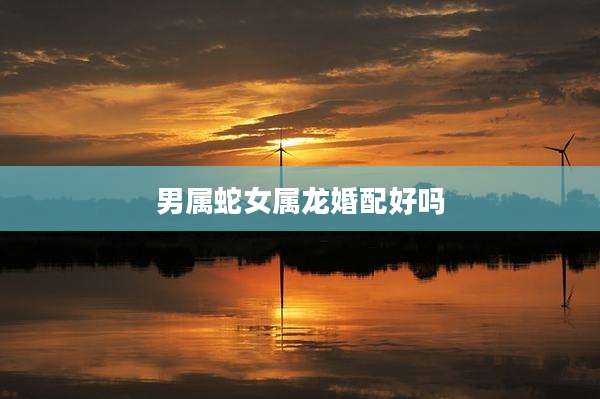 男属蛇女属龙婚配好吗