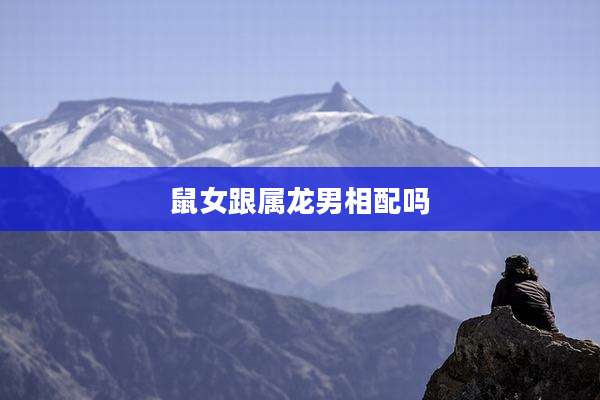 鼠女跟属龙男相配吗