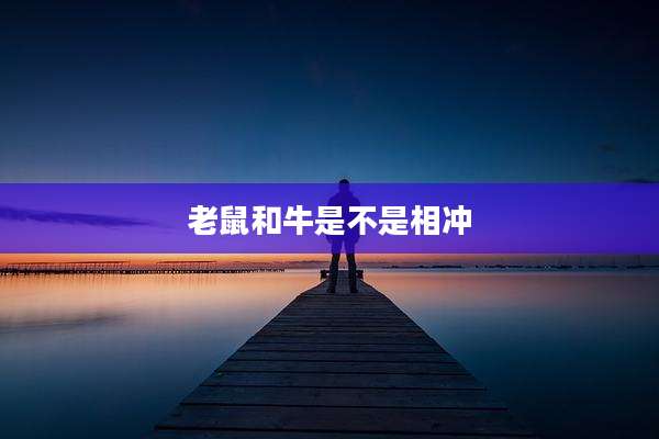 老鼠和牛是不是相冲