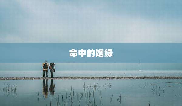 命中的姻缘