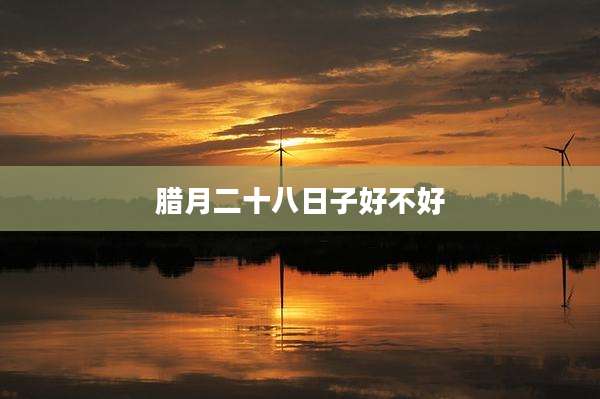 腊月二十八日子好不好