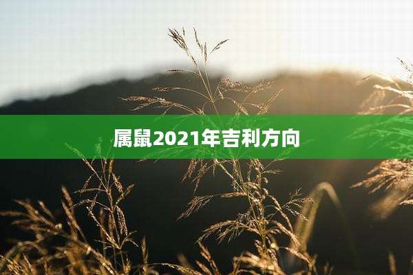 属鼠2021年吉利方向