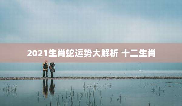 2021生肖蛇运势大解析 十二生肖