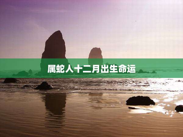 属蛇人十二月出生命运