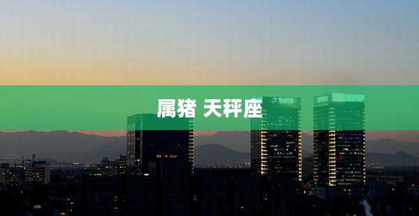 属猪 天秤座