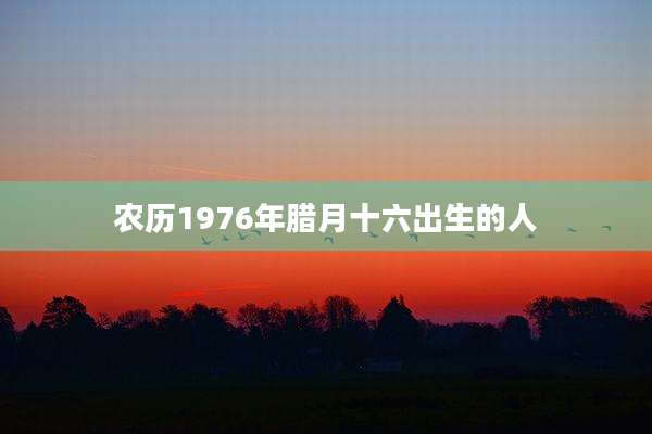 农历1976年腊月十六出生的人