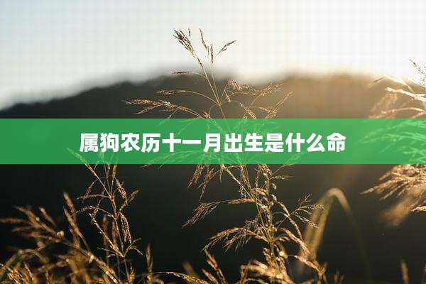 属狗农历十一月出生是什么命