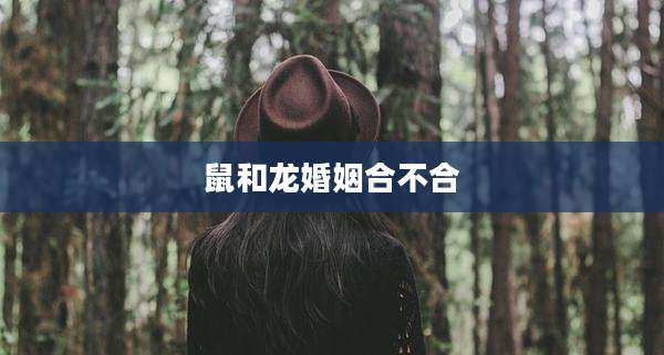鼠和龙婚姻合不合