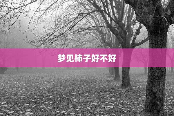 梦见柿子好不好