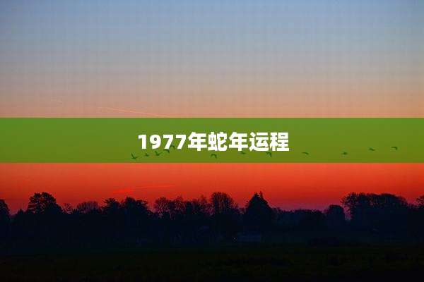 1977年蛇年运程