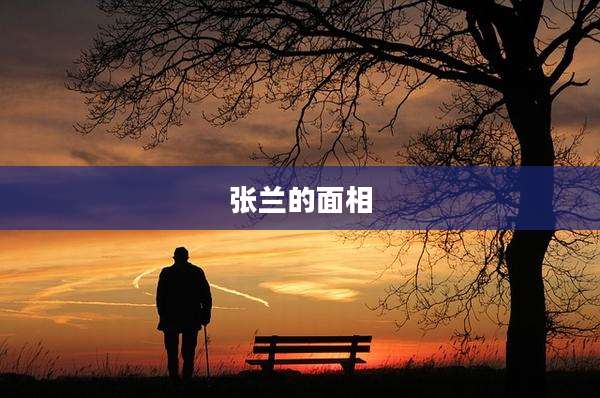 张兰的面相