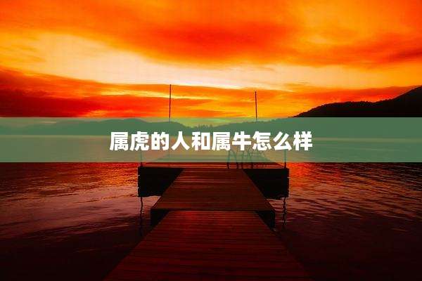 属虎的人和属牛怎么样