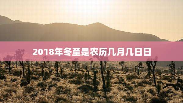 2018年冬至是农历几月几日日