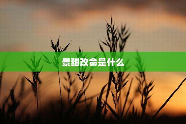 景甜改命是什么