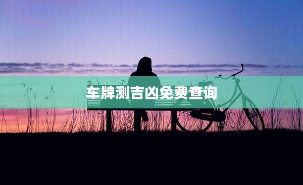车牌测吉凶免费查询