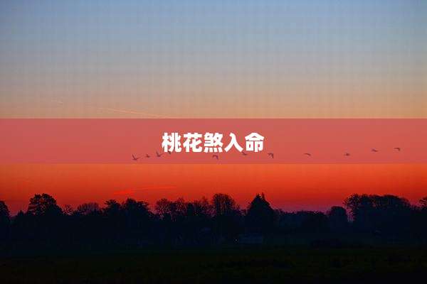 桃花煞入命