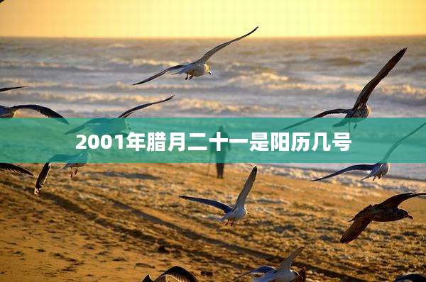 2001年腊月二十一是阳历几号