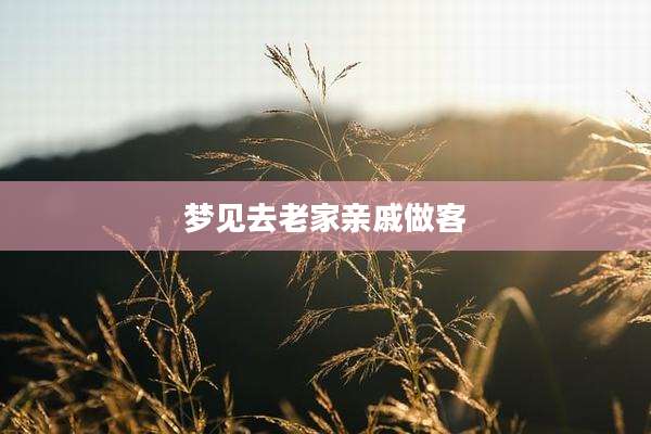梦见去老家亲戚做客