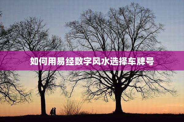 如何用易经数字风水选择车牌号