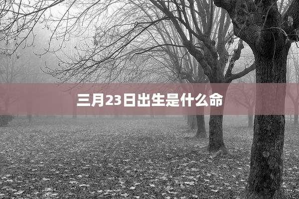 三月23日出生是什么命