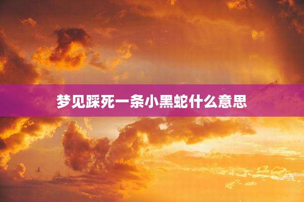 梦见踩死一条小黑蛇什么意思