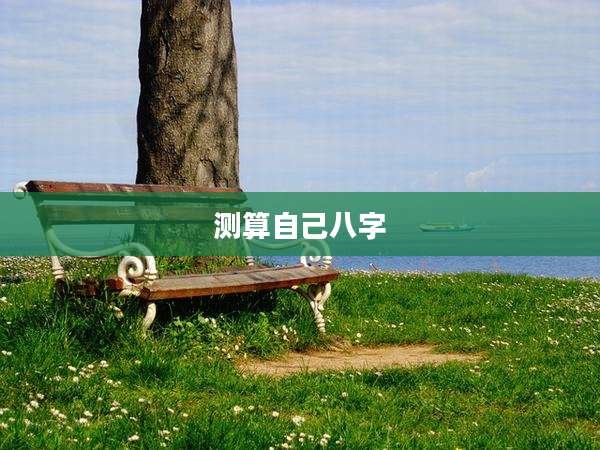 测算自己八字
