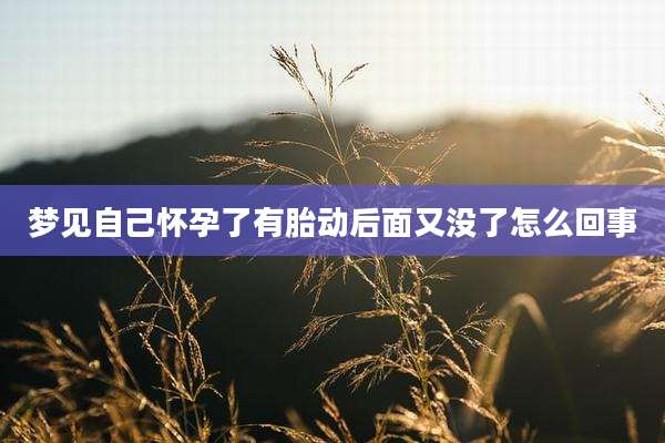 梦见自己怀孕了有胎动后面又没了怎么回事