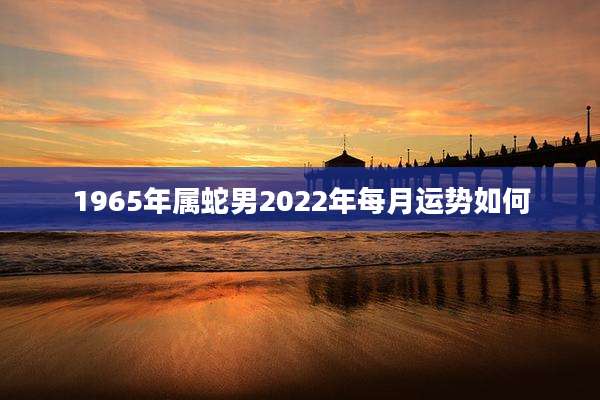 1965年属蛇男2022年每月运势如何