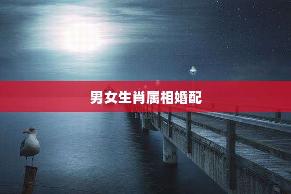 男女生肖属相婚配