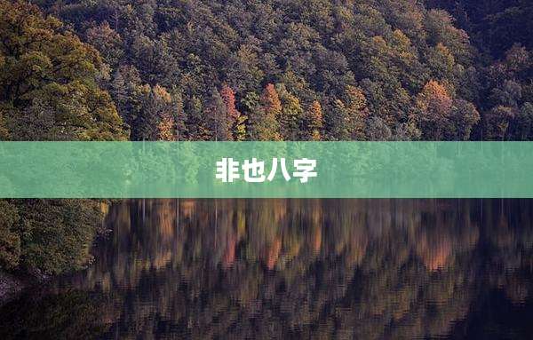 非也八字