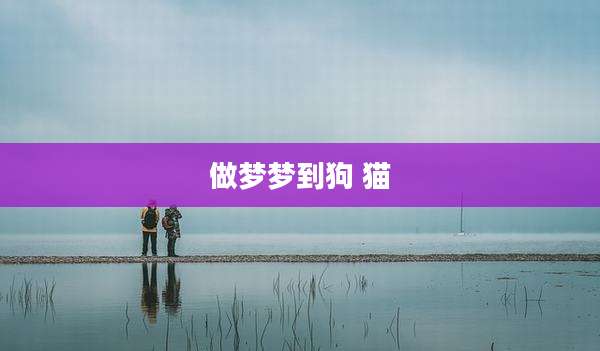 做梦梦到狗 猫