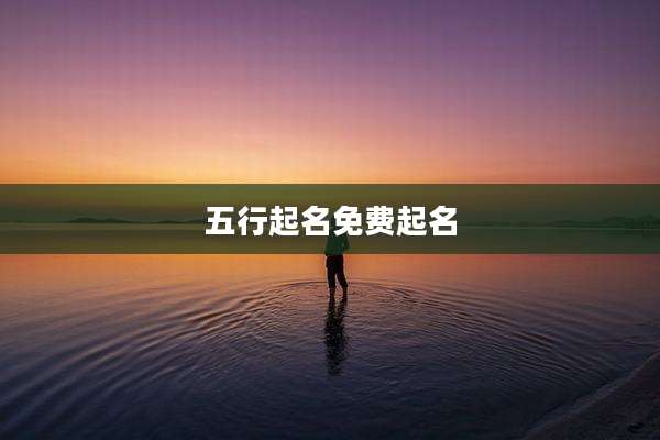 五行起名免费起名