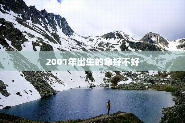 2001年出生的命好不好