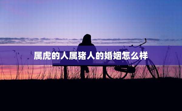 属虎的人属猪人的婚姻怎么样