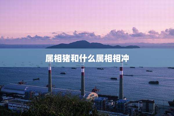属相猪和什么属相相冲