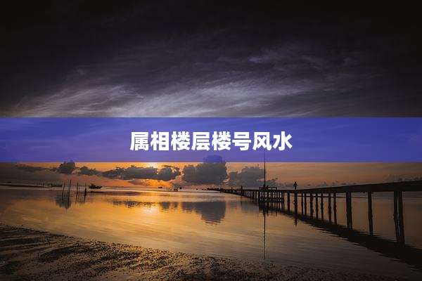属相楼层楼号风水