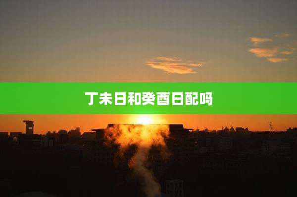 丁未日和癸酉日配吗