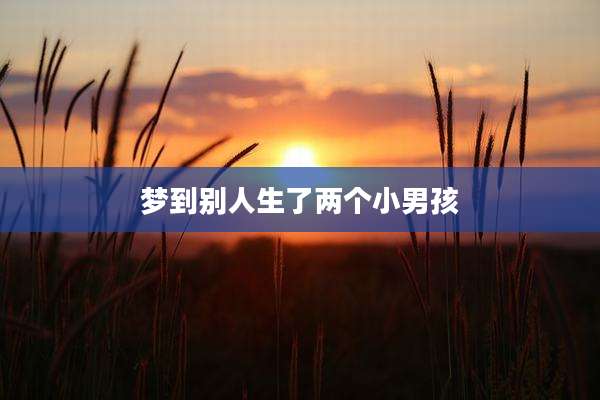 梦到别人生了两个小男孩
