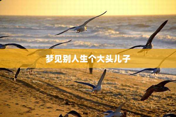 梦见别人生个大头儿子