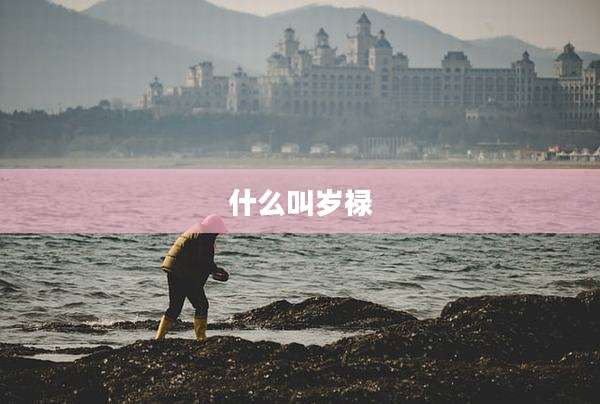 什么叫岁禄
