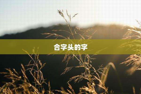 合字头的字