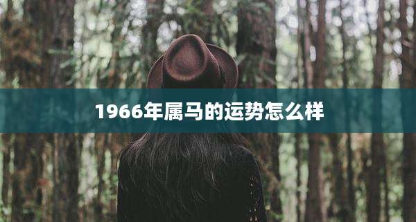 1966年属马的运势怎么样