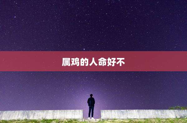 属鸡的人命好不